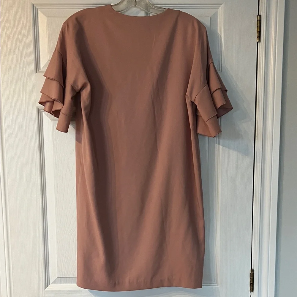 NWT Banana Republic Blush Ruffle Sleeve Mini Dress - Picture 3 of 3
